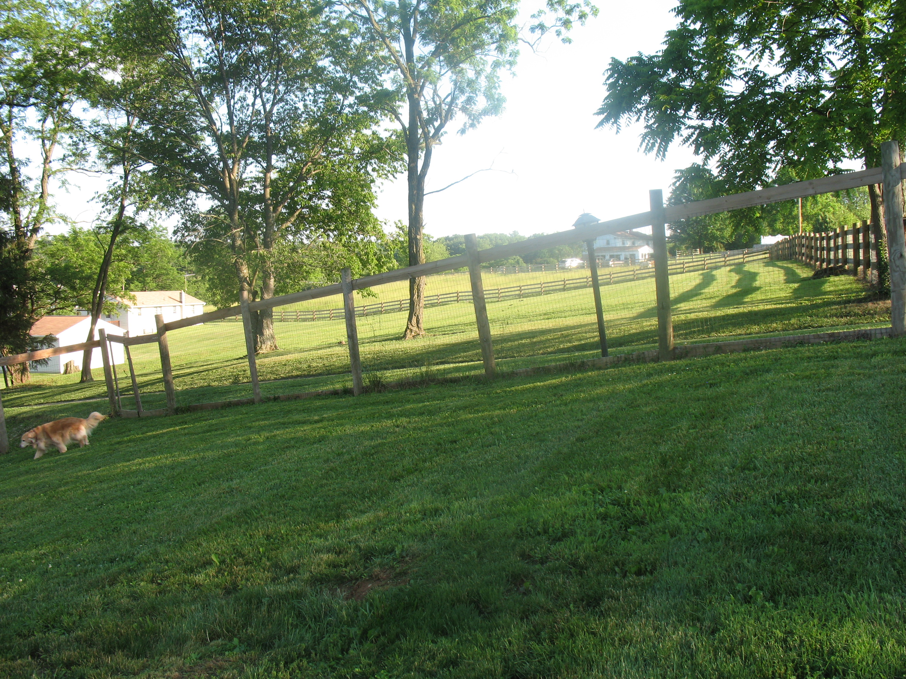 IMG1767.jpg