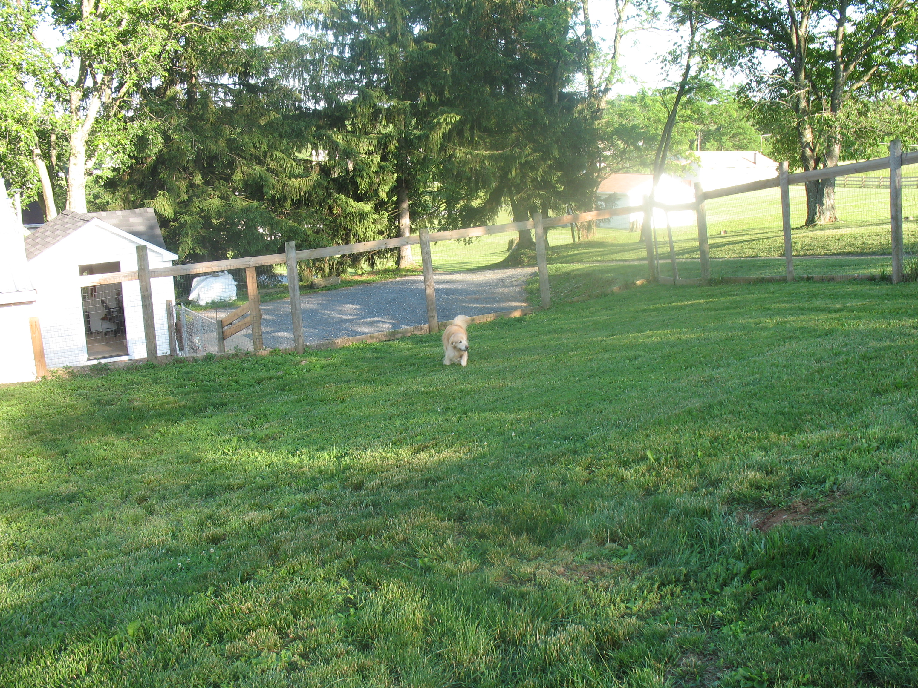 IMG1776.jpg