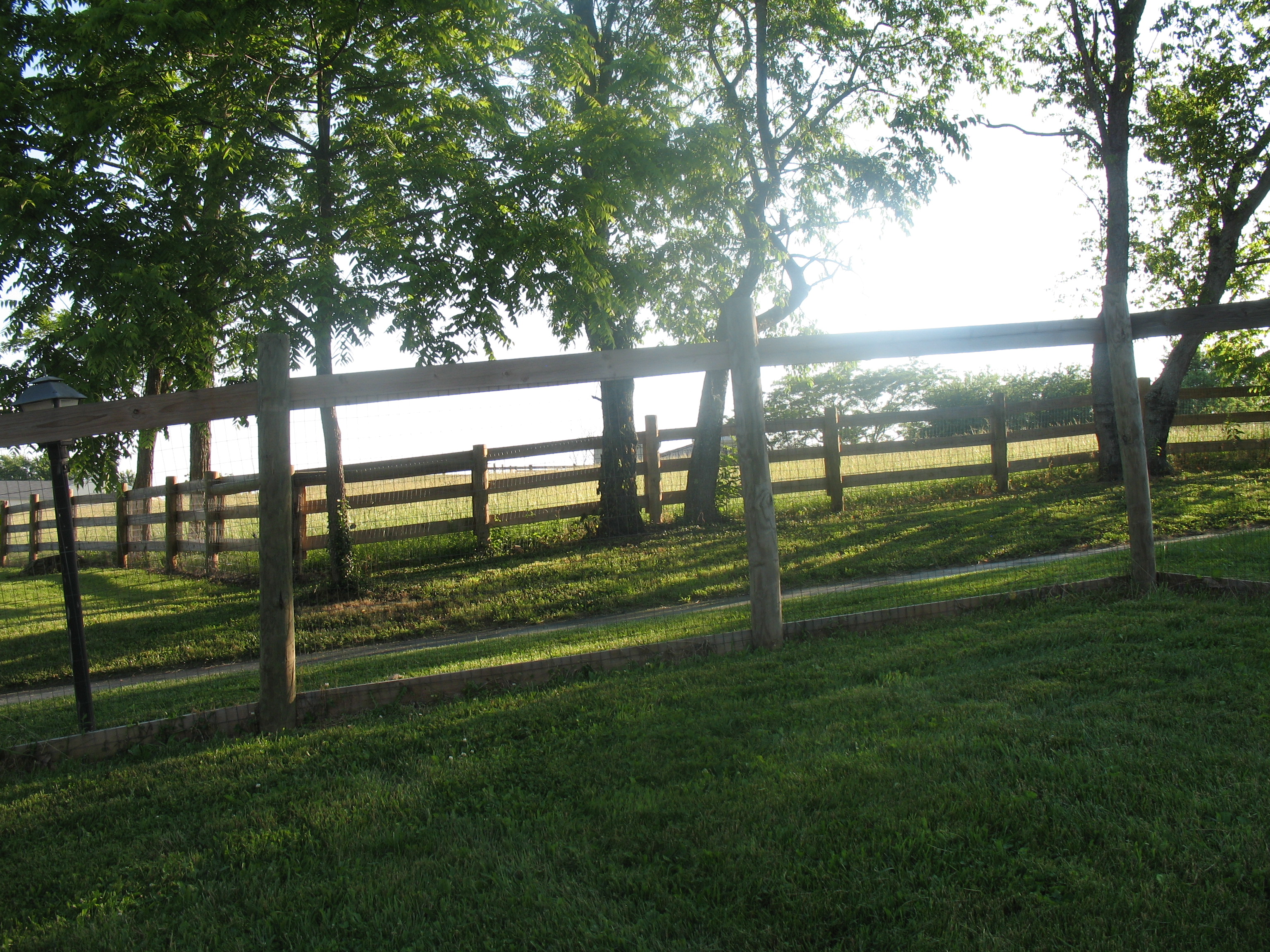 IMG1776.jpg