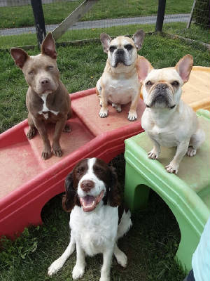 webassets/groupphoto.jpg